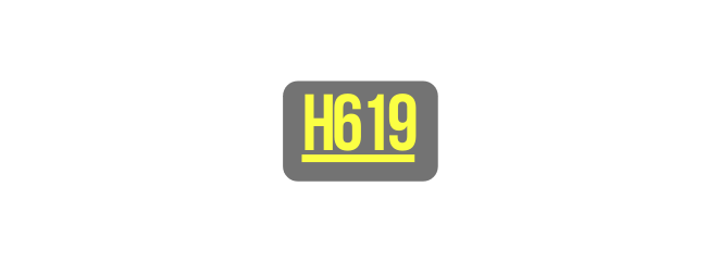 H619