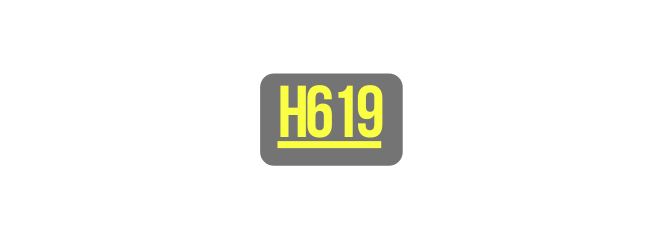 H619