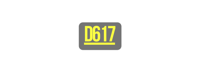 D617